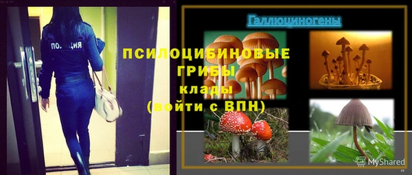 СК Алзамай